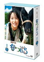 新品 連続テレビ小説 なつぞら 完全版 DVD BOX1 / (DVD3枚組) NSDX-23829
