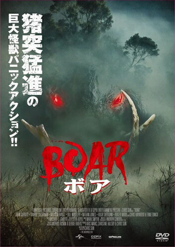 【おまけCL付】新品 ボア / (DVD) ADL-3046S