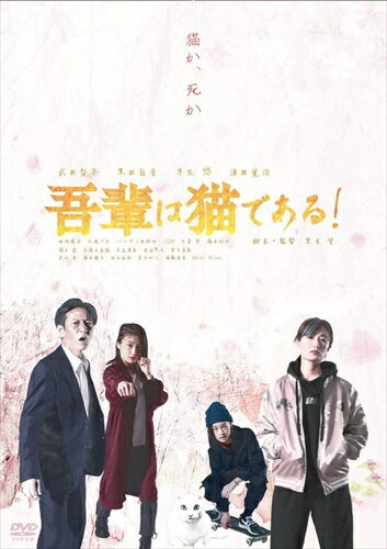 ◆ 商品説明 失われた日常で紡がれる、 猫に捧ぐ物語。コロナによる緊急事態宣言下、窮地に陥った4人のはぐれ者が “オッドアイ"の白猫を巡り錯綜するノンストップ・ノワール活劇 ★2021年3月、auプレミアムスマートパスにて配信後大きな話題を呼び、劇場版としてカムバック! 本作はauプレミアムスマートパスで5Gコンテンツの目玉企画として配信されたもので、ユーザーによるスイッチング可能な、 全編主人公目線の新感覚POVコンテンツとして、大きな話題を呼んだ。ユーザーによる大きな反響があったため、 ネット配信では使用されなかった客観映像をふんだんに使って、まったく新しく編集された完全リブート劇場版も見逃せない! ★主人公は4人! 日本のトップアクション女優から実力派俳優まで総出演! 主人公の1人、武田梨奈は『いざなぎ暮れた。』でインド・ムンバイのシネマ・オブ・ザ・ワールドと ハリウッド・ヴァージン・フィルム・アワードで主演女優賞を受賞。また、空手黒帯の腕前を持つ日本のトップアクション女優である。 期待の新人・黒田百音、映画初主演作『ソワレ』で村上虹郎との共演で強い印象を残した芋生悠、そして、『山中静夫氏の尊厳死』で 第30回日本映画批評家大賞主演男優賞を受賞したことも記憶に新しい邦画界が誇る俳優・津田寛治の豪華共演! ★監督は笠木望監督! 息をつかせぬスリル、キレのある伏線と回収に目が離せない! 『いざなぎ暮れた。』の笠木望監督が夏目漱石「吾輩は猫である」から着想を得て脚本を執筆した。 対戦相手を半殺しにしたことから留置場に入れられた女格闘家の美那。 ライバルのアンナは出所した美那が記憶喪失に陥っていることに気づくが、美那はすぐに地下格闘技大会に出場させられる。 闇の仕事にアルバイトに来た行方(ナメカタ)は、ひょんなことから白猫をめぐる逃亡劇に巻き込まれ、 愛する白猫を奪われたスケボー少女のすずは、スケボーとパルクールを駆使して組織に忍び込む。 一度観たら何度でも観たくなる! 伏線を見逃すな! ★アクション総指揮は受賞歴もある柴原孝典! アクション総指揮を務めるのは、唐沢寿明主演『イン・ザ・ヒーロー』でアクション監督を務め、 第24回東京スポーツ映画大賞助演男優賞を受賞した柴原孝典。 ★“オッドアイ"の白猫、モッチーの名演技にも注目! 劇場公開作 【ストーリー】 猫か、死か 借金のカタにとられた1匹の白猫。その猫が原因で4人の男女の運命が複雑に絡み合い物語が展開していく。 対戦相手を半殺しにして留置場に入れられた女格闘家・美那(ミナ)。出所してきた彼女を待っていたライバルのアンナは美那が記憶喪失に陥っていることに気づくが、 美那はすぐさま地下格闘技大会に出場させられることに。闇の仕事にアルバイトに来た男・行方 (ナメカタ)。彼はひょんなことから白猫を巡る逃亡劇に巻き込まれてゆく。 友達がいないスケボー少女すず。愛する白猫が奪われた彼女は、スケボーとパルクールを駆使して組織に忍び込む。息をつかせぬスリル、キレのある伏線と回収、 少し前までは普通だった4人と1匹の織りなすドラマが新鮮なカタルシスへ結実する。 【キャスト】 武田梨奈『ワカコ酒』『いざなぎ暮れた。』 黒田百音 芋生 悠『ひらいて』『HOKUSAI』『ソワレ』 津田寛治『空飛ぶタイヤ』『アウトレイジ 最終章』 【スタッフ】 監督・脚本:笠木望『いざなぎ暮れた。』『ノーマーク爆牌党』 プロデューサー:カタオカセブン/玉澤成浩 製作:『吾輩は猫である! 』製作委員会 制作・配給・宣伝:レフトハイ 発売:AMGエンタテインメント 販売:アメイジングD.C. (C)2021「吾輩は猫である! 」製作委員会 ■仕様：DVD ■品番：ADM-5221S ■JAN：4988166200310 ■発売日：2022.06.03 【音声】 1日本語語【ドルビーデジタル5.1chサラウンド】 【仕様】 カラー/16:9LBシネマスコープ/本編114分/片面1層 登録日：2022-05-26＜ 注 意 事 項 ＞ ◆おまけカレンダーに関する問合せ、クレーム等は一切受付けておりません。 絵柄はランダムとなります。絵柄の指定は出来かねます。 予めご了承ください。