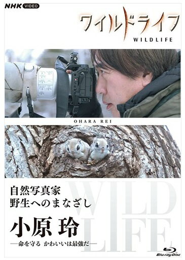 新品 ワイルドライフ 自然写真家 野生へのまなざし 小原玲 Blu-ray / (Blu-ray) NSBS-25613