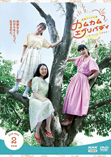 新品 連続テレビ小説 カムカムエヴリバディ 完全版 DVD BOX2 / (4枚組DVD) NSDX-25357