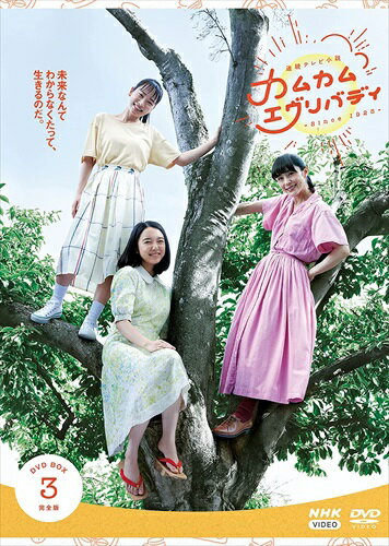 新品 連続テレビ小説 カムカムエヴリバディ 完全版 DVD BOX3 / (4枚組DVD) NSDX-25358