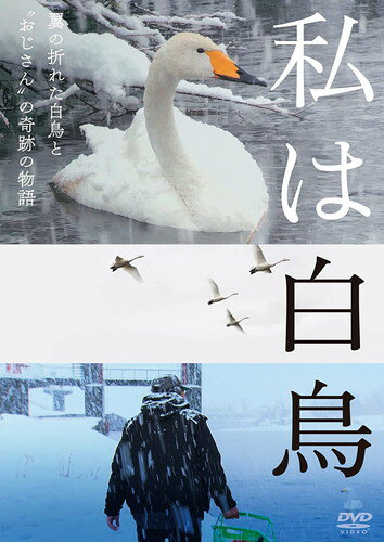 【おまけCL付】新品 私は白鳥 / 澤江弘一, 天海祐希(DVD) TCED6692