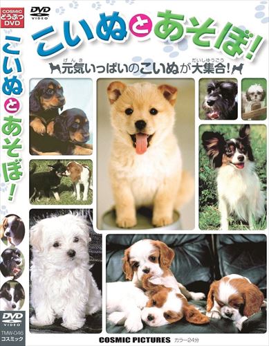 新品 こいぬとあそぼ！ / (DVD) TMW-046