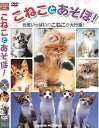 【おまけCL付】新品 こねことあそぼ! / (DVD) TMW-047