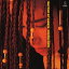 RHYTHM OF SILENCE / 障子久美 (CD-R) VODL-60523 2,750円