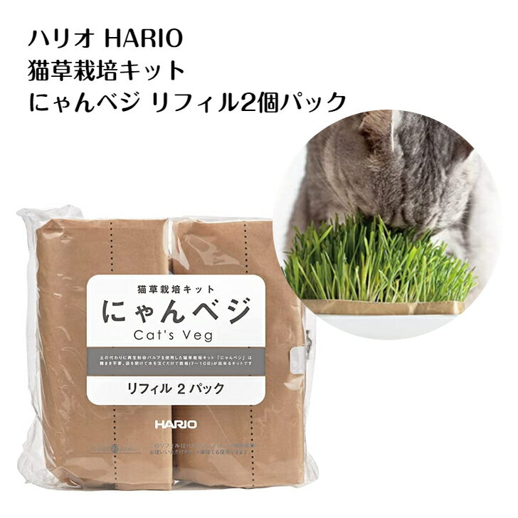 ハリオ HARIO 猫草栽培キット にゃんベジ その他 セット 猫