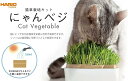 ハリオ HARIO 猫草栽培キット にゃんベジ その他 セット 猫