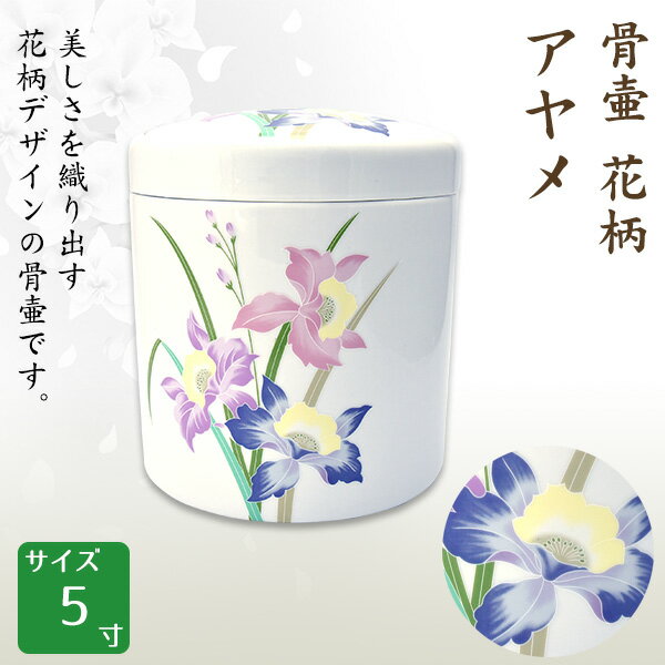     5  긵 ʩ    ڹǽʹ