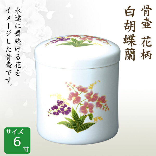    ĳ 6  긵 ʩ   
