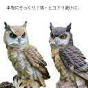 鳥よけ 鳩よけ 鳥対策 樹脂 フクロウ 本物そっくり 防鳥防獣対策 置物 オーナメント 装飾 ディスプレイ ベランダ 庭 ガーデン 撃退ハト スズメ カラス ムクドリ 撃退