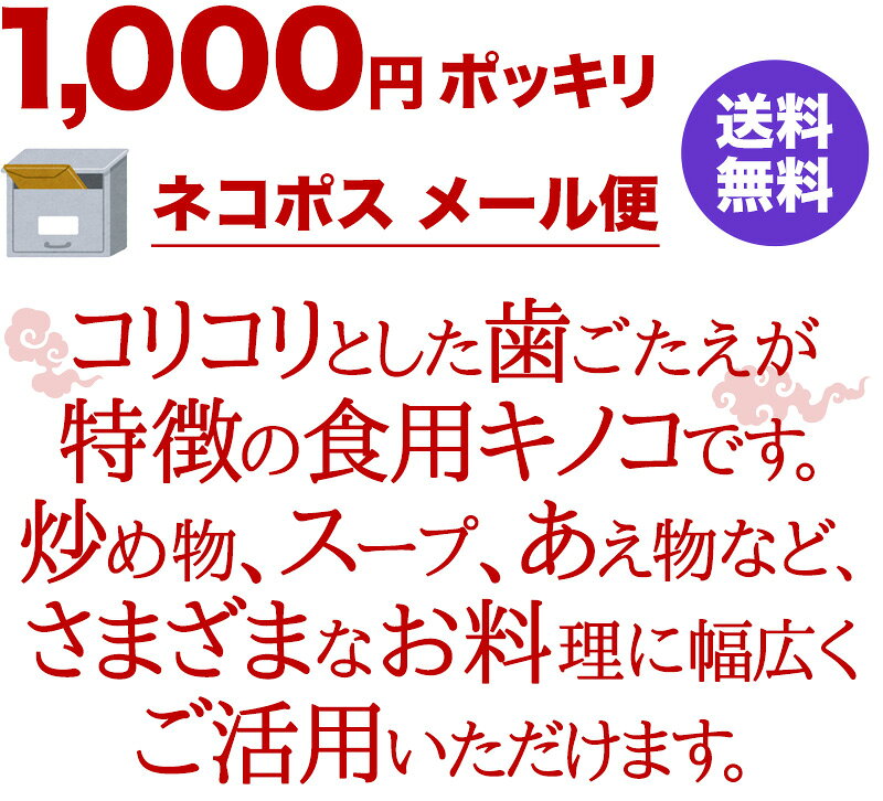 ●1000円ポッキリ【黒木耳（黒きくらげ）】15g×3パックセット耀盛號（ようせいごう...