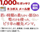 1000円ポッキリ 横浜中華街 耀盛號 山の酒盗（500g） 送料込み ネコポス メール便 2