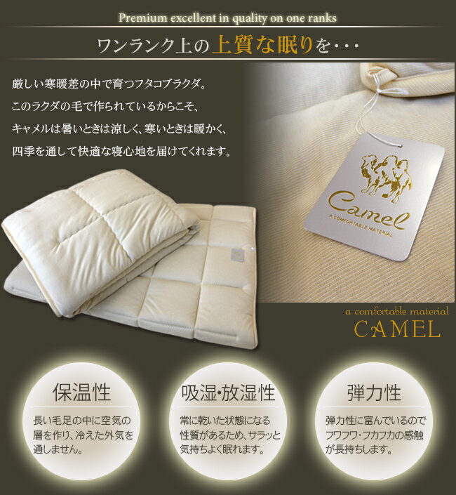 肌掛け布団【ポイント10倍】 キャメル シング...の紹介画像2