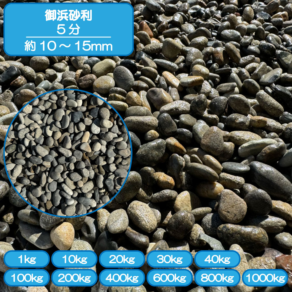   ץ  ͺ 5ʬ 10-15mm 졼    ֥    ŷ Ѻ ...