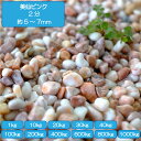 砂利 庭 アプローチ 花壇 美仙ピンク 2分 5-7mm ピンク 玉石 タンブル 小粒 大理石 外構 石 天然石 化粧砂利 ガーデン diy 送料無料