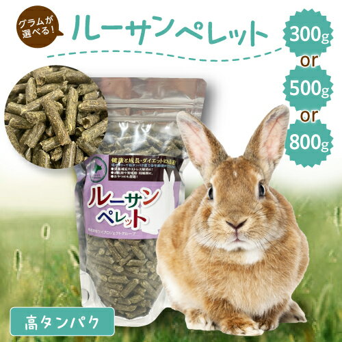 うさぎ 牧草 ウサギ うさぎ牧草 アメリカ一番刈り アメリカ アメリカ1番 アメリカ1番刈り ウサギ エサ 餌 牧草 チモシー 【 300g 500g 800g 選べる 】うさぎ 牧草 ルーサンペレット お試し 餌 うさぎ牧草 mofu parfait ※業務用 牧草入れ 種 ではありませんうさぎ 牧草 ウサギ うさぎ牧草 アメリカ一番刈り アメリカ アメリカ1番 アメリカ1番刈り ウサギ エサ 餌 牧草 チモシー 【 300g 500g 800g 選べる 】うさぎ 牧草 ルーサンペレット お試し 餌 うさぎ牧草 mofu parfait ※業務用 牧草入れ 種 ではありません