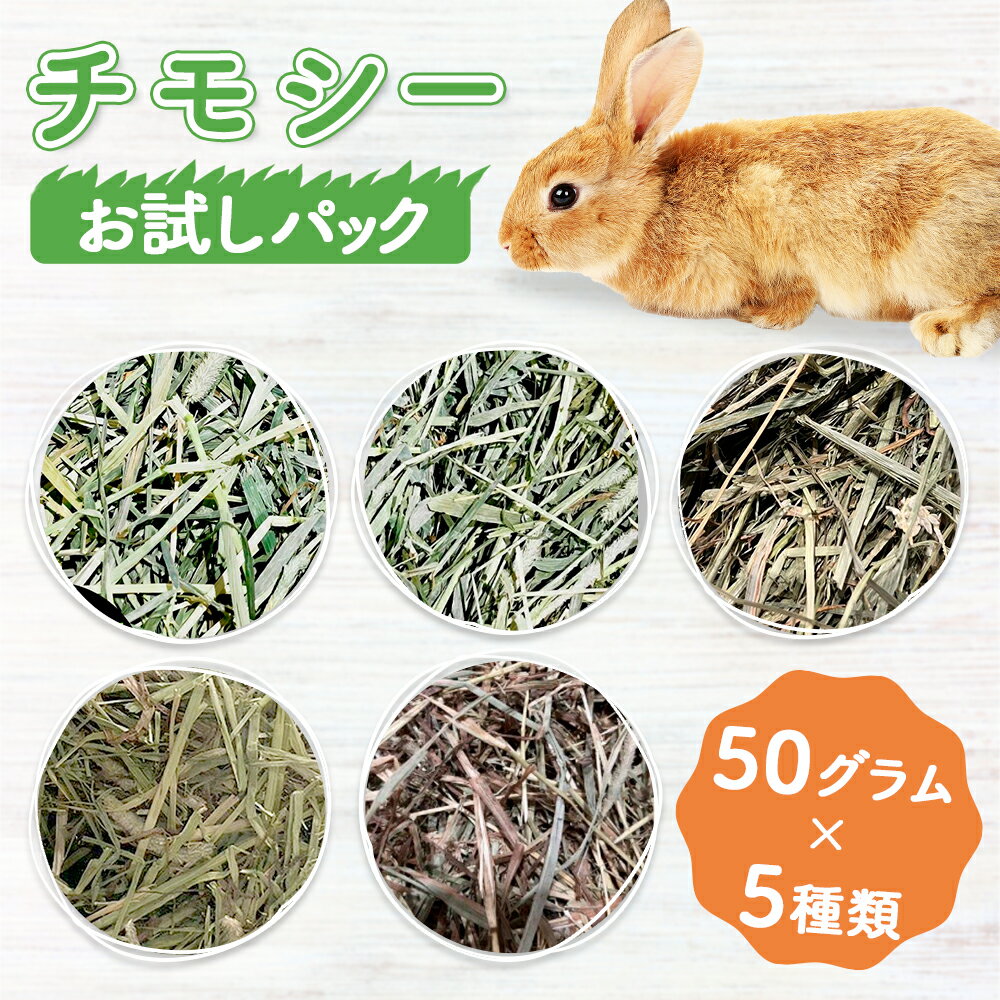 【お試しセット】【チモシーお試し】5種類 チモシー うさぎ牧草 50g×5 アメリカ産1番刈りプレミアムチモシー 北海道産チモシー カナダ産チモシー アメリカ産1番刈りダブル アメリカ産2番刈りチモシーダブル 牧草王国 人気5種おまとめ ※ オーツヘイ キューブ ではありません