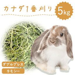 【ラベルレス】【お値段以上】うさぎ ウサギ 牧草 チモシー ダブルプレス 5kg カナダ産 1番刈り 一番刈り チンチラ 牧草王国 牧草 えさ 敷材 うさぎ 牧草 もふぱふぇ 牧草 えさ 敷材 ※イタリアンライグラス スーダングラス 牛 バター ロール ラップ 種 ではありません