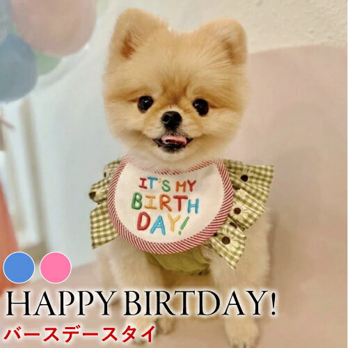 ★在庫処分★バースデイ スタイ ペット 犬 猫 誕生日 記念日 おしゃれ かわいい 男の子 女の子 SNS映え 小型犬 中型犬 2色エプロン ペットウェア お祝い アニバーサリー よだれかけ【 送料無料 】 ※ 首輪 名入れ 迷子札 革 リボン ハーフチョーク ブランド ではありません