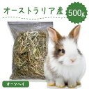 【ラベルレス】うさぎ 牧草 ウサギ オーツヘイ 500g オーストラリア産 うさぎ 草 mofu parfait もふぱふぇ チンチラ うさぎ モルモット 牧草王国 牧草 えさ 敷材 ラベルレス お試し パック ラベルレス n