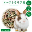 うさぎ 牧草 ウサギ オーツヘイ 選べる 1kg or 1kg×3袋 or 3kg オーストラリア産 うさぎ 草 mofu parfait もふぱふぇ チンチラ うさぎ モルモット 牧草 えさ 牧草王国 敷材　ラベルレス お試し パック n