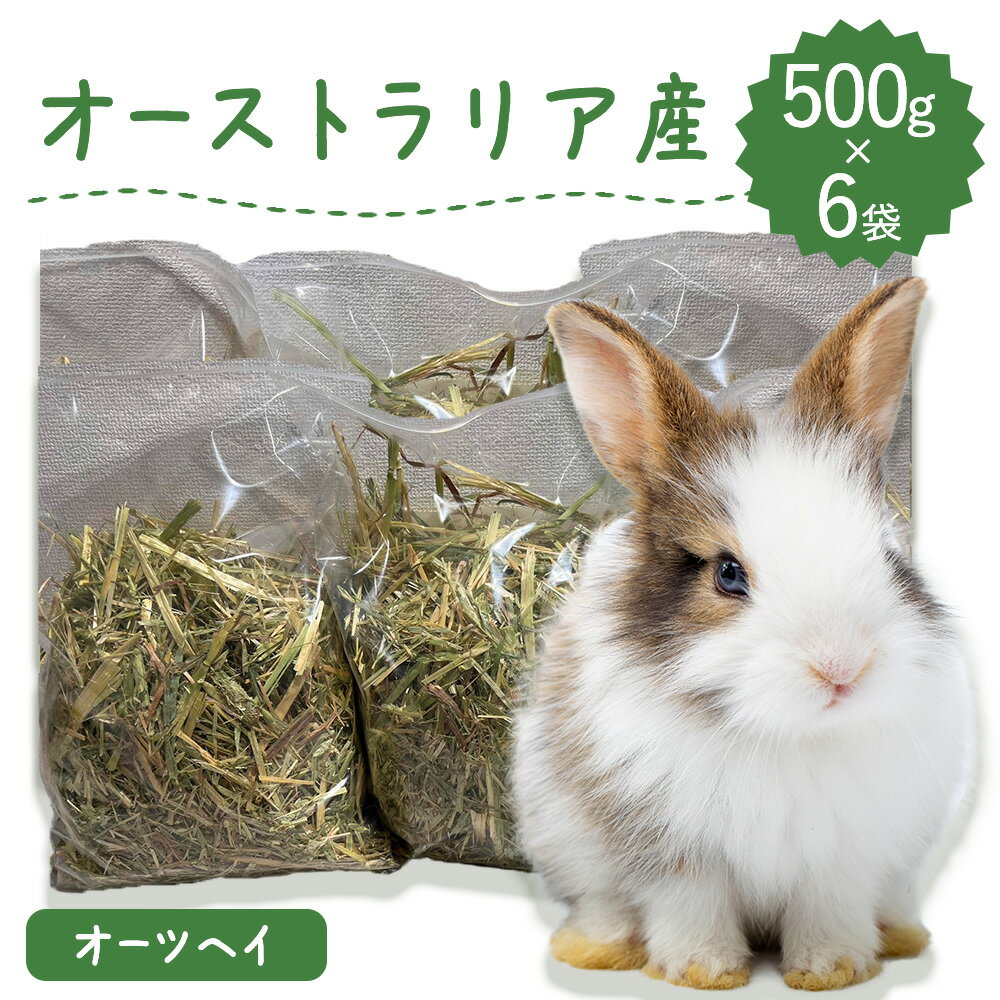 うさぎ牧草 ウサギ 兎 うさぎ 牧草 オーツヘイ うさぎ牧草 ラベルレス スーパープレミアムグレード 牧草王国 うさぎ牧草 500g×6袋 オーストラリア産 うさぎ牧草 ウサギ チンチラ モルモット 嗜好性が高く 繊維質 うさぎ牧草 SSS