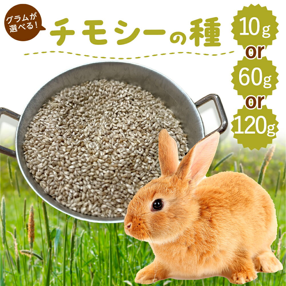 【お値段以上】うさぎ 牧草の種 選