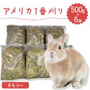 【あす楽】うさぎ 牧草 3kg 500g×6袋 うさぎ牧草 チモシー アメリカ産 1番刈り牧草 牧草王国 シングルプレス 牧草 うさぎ モルモット等の牧草最高級 プレミアム