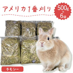 【あす楽】うさぎ 牧草 3kg 500g×6袋 うさぎ牧草 チモシー アメリカ産 1番刈り牧草 牧草王国 シングルプレス 牧草 うさぎ モルモット等の牧草最高級 プレミアム