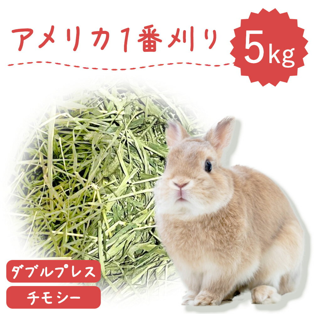 【ラベルレス】【お 値段以上】うさぎ牧草 ウサギ チモシー ダブルプレス 牧草王国 5kg アメリカ産 アメリカ US 1番刈り 一番刈り うさぎ 牧草 mofu parfait もふぱふぇ チンチラ モルモット 牧草 えさ 敷材 お値打ち商品 ※オーツヘイ キューブ ではありません