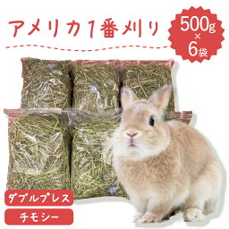 【ラベルレス】【お値段以上】うさぎ 牧草 ウサギ チモシー ダブルプレス 500g×6袋 アメリカ産 アメリカ 1番刈り 一番刈り 牧草王国 うさぎ 牧草 mofu parfait もふぱふぇ チンチラ うさぎ モルモット 牧草 えさ 敷材 牧草 ダブル ラベルレス　n