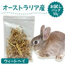 うさぎ 牧草 ウィートヘイ 50g お試しパック えさ 餌 エサ フード お試し用 牧草 苦手 嗜好性 うさぎ牧草 うさぎ 高齢 飽き 牧草 オーストラリア産 牧草王国 モルモット mofu parfait もふぱふぇ ※ 牧草入れ アルファルファ ではありません 1