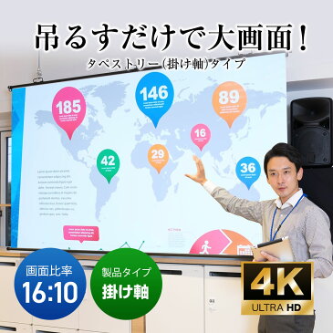 シアターハウス 4K対応 プロジェクタースクリーン 200インチ (16:10) 吊り下げ式 タペストリー(掛け軸)タイプ マスクフリー 日本製 BTP4308XEH