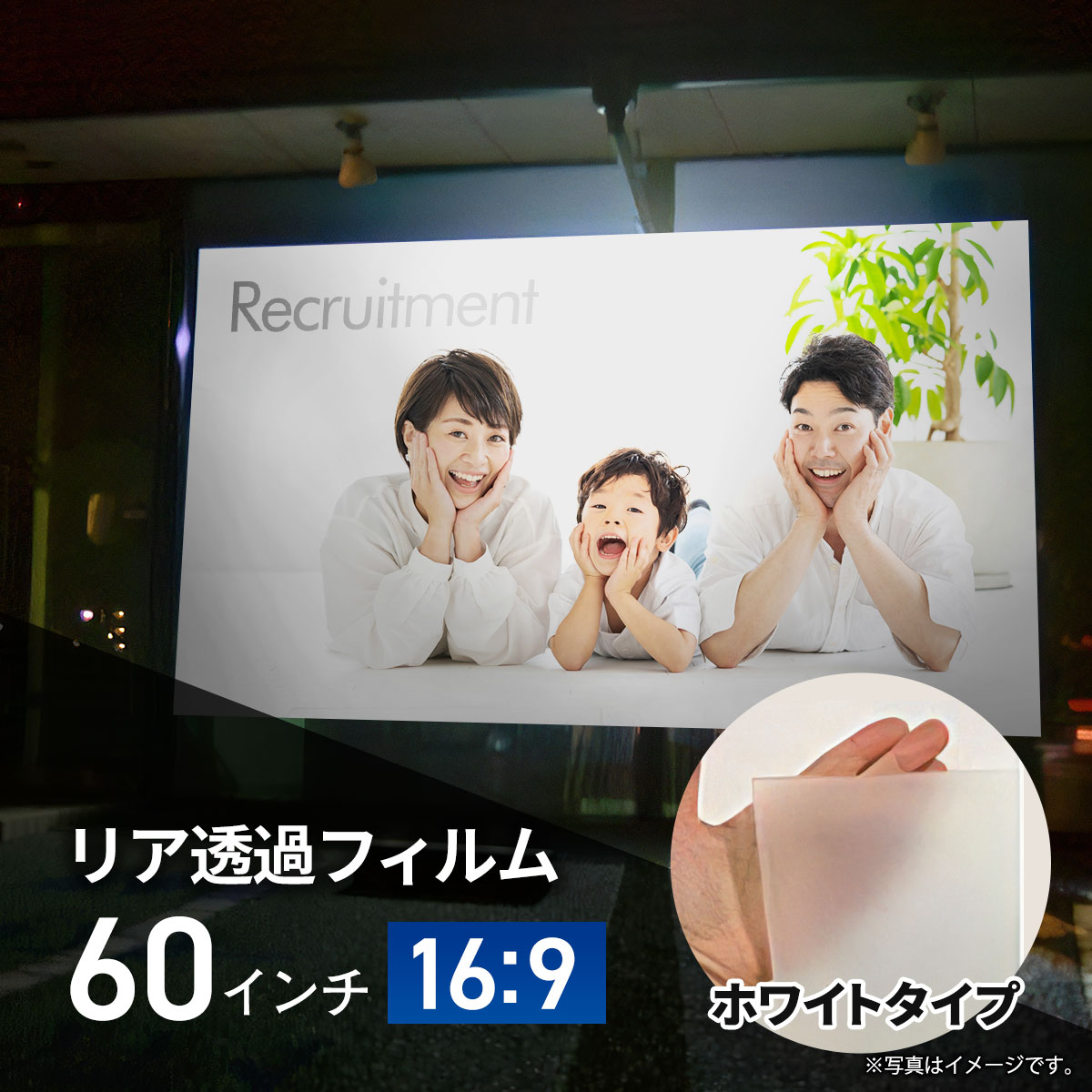 ϥ ץ꡼ ꥢץ()Ʃե ȾƩۥ磻ȥ (169)磻 60...
