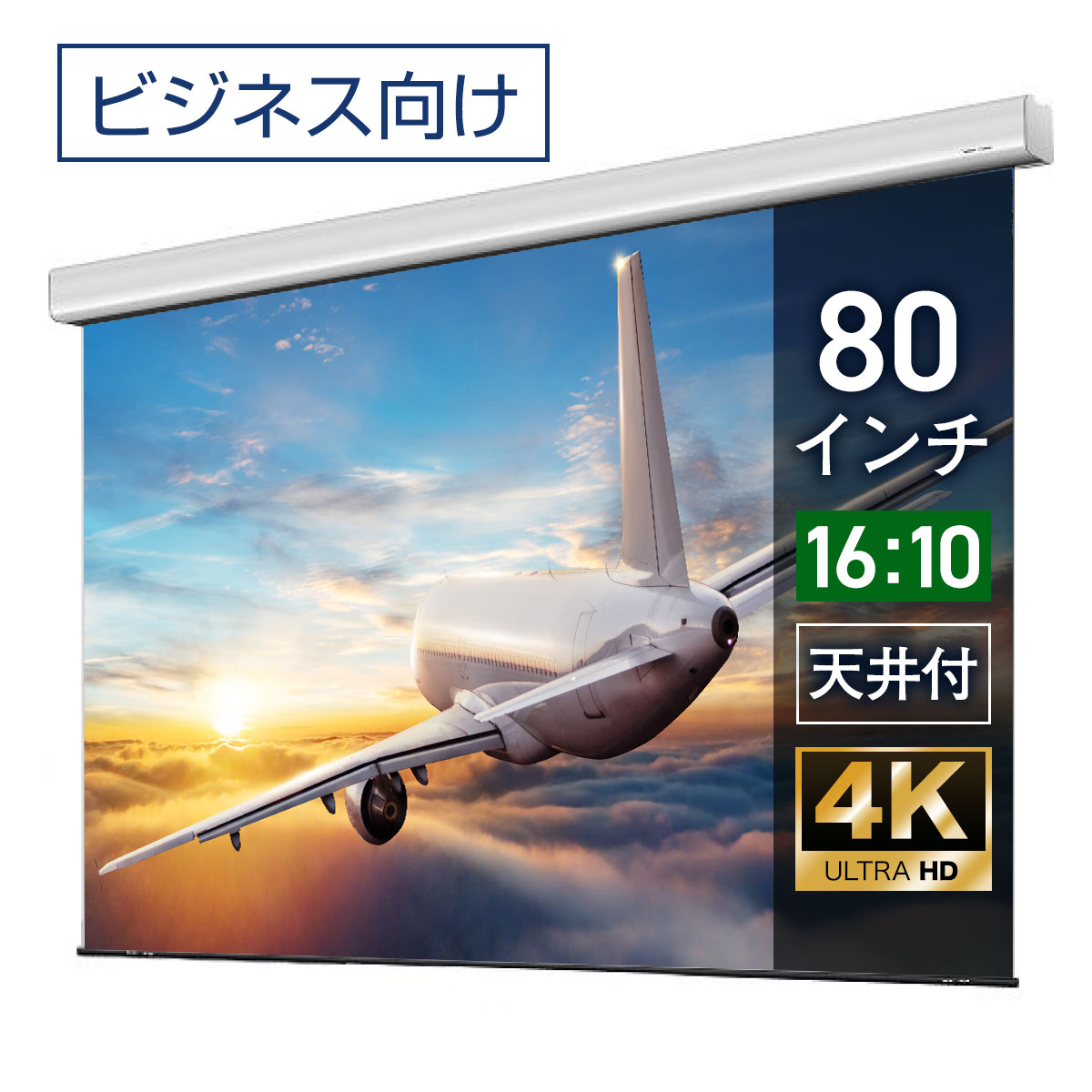 楽天シアターハウスプロジェクタースクリーン 80インチ 吊り下げ シアターハウス 電動スクリーン WXGA 16:10 ビジネス 4K 送料無料 日本製 プロジェクター スクリーン 80 自動 電動 リモコン 天吊 壁掛け 会議 プレゼン 店舗 学校 授業 メイドインジャパン made in japan 生涯保証 ケース