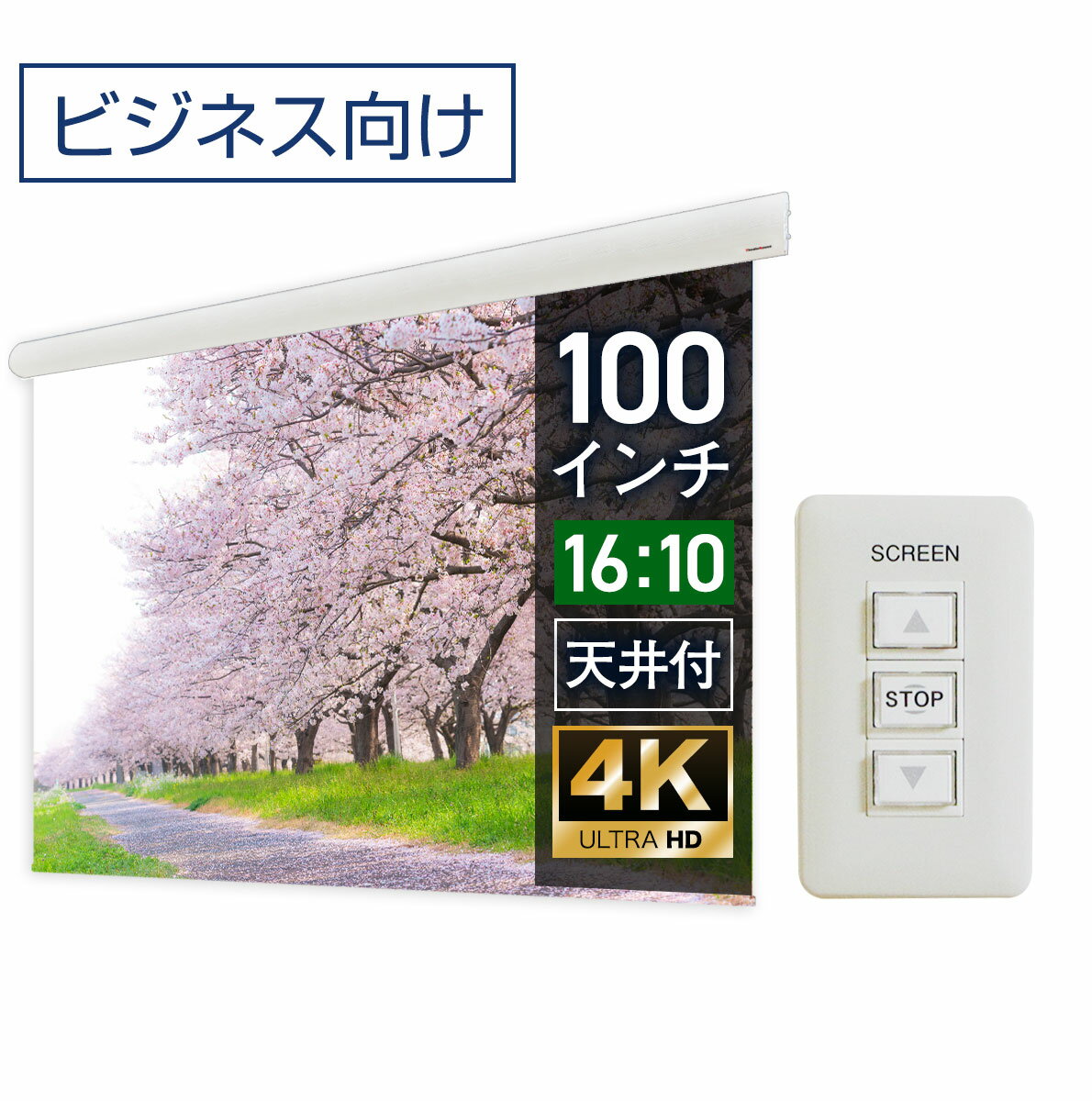 大型電動スクリーン 100インチ 吊り下げ シアターハウス プロジェクタースクリーン WXGA 16:10 遠距離 大空間 体育館 4K 送料無料 日本製 プロジェクター スクリーン 100 自動 電動 壁スイッチ 有線 天吊 壁掛け 大ホール 学校 オフィス メイドインジャパン 10年保証 ケース