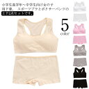 ボクサーパンツ 小学生 インナーセット ショーツ 肌着 子供用下着 カップ付き 女の子 ナイトブラ 中学生 セット ジュニア向け ノンワイヤー アンダーウェア ...