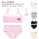 ショーツセット 女の子 ジュニア向け 下着セット ノンワイヤー 上下セット カップ付き 学生 ノンワイヤーブラ スポーツブラ フィットネス ヨガ 運動 トレーニ...
