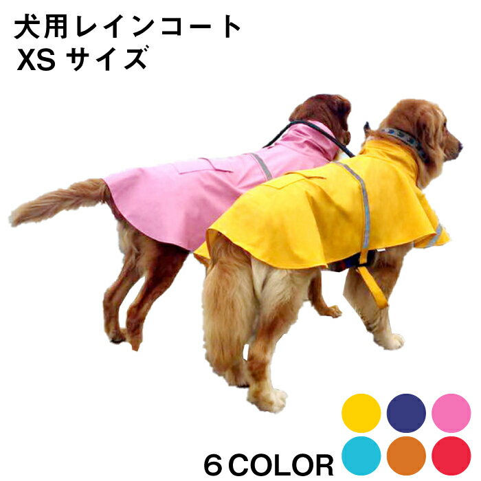 ѥ쥤󥳡 XSۥ쥤󥦥 ɥå  ɿ     å 