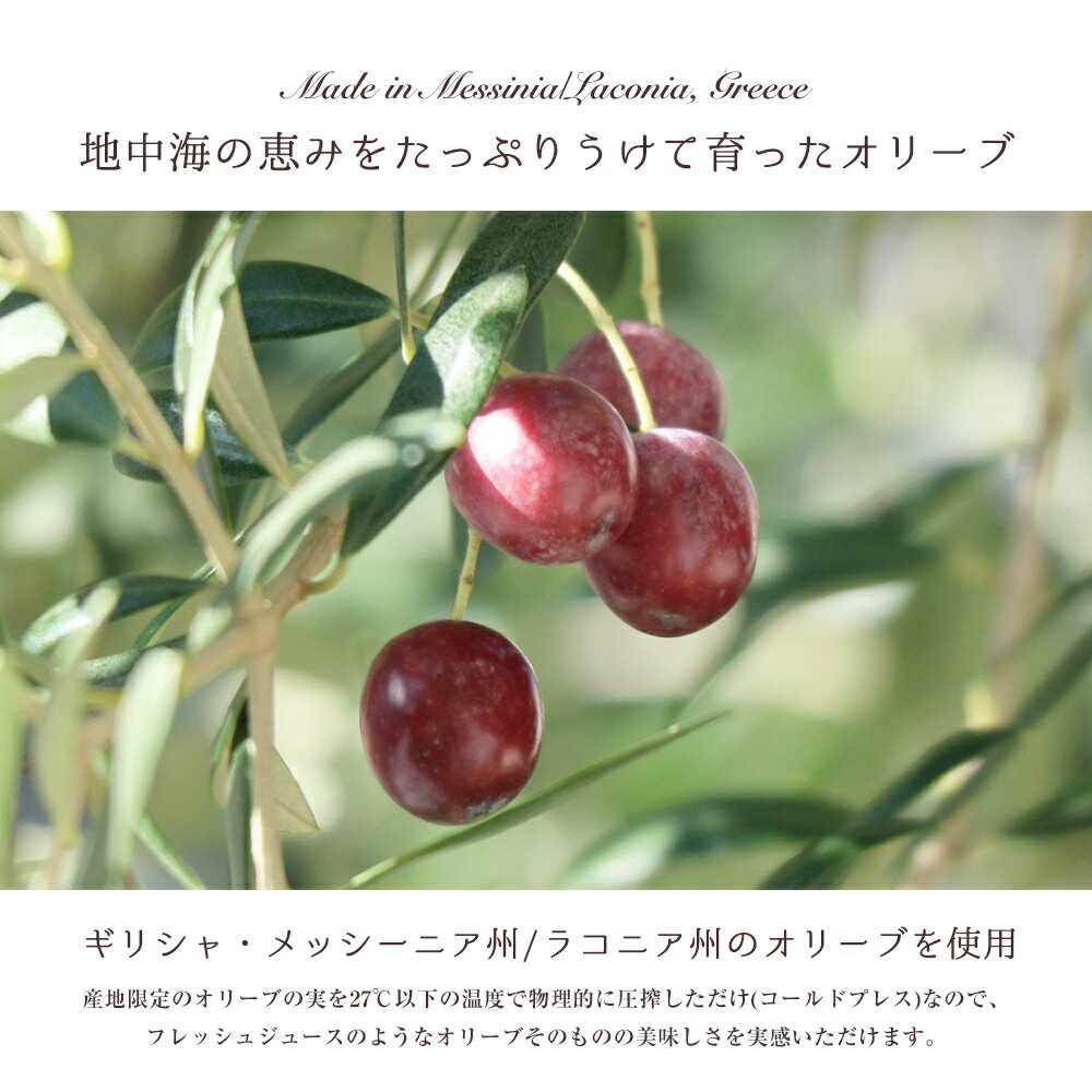 ���꡼�֥����� ��ʬ�� �Ȥ��ڤ� �ݡ������ �������ȥ�С����󥪥꡼�֥����� ����ߤ� ���å� ���ե� �ץ쥼��� ���ꥷ�� ��̣���� �������� ���襤�� ������� ���ˤ� ���֤� �ץ� ���ꥹ�ޥ� st-so5