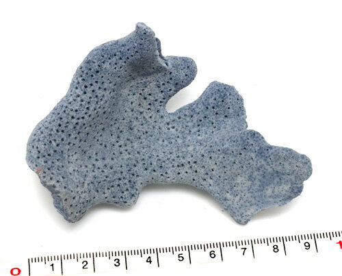 【インテリア用珊瑚パーツ】ブルーリッジコーラル 青珊瑚 青さんご 青サンゴ no.2