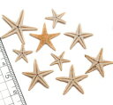 【小さな貝殻パーツ】ミニヒトデ 小さいヒトデ Sサイズ50個 お得パック