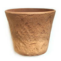 ロックガーデン カプチ 10号