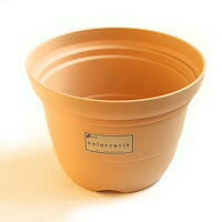 カラーバリエ輪鉢 5号 サンドベージュ