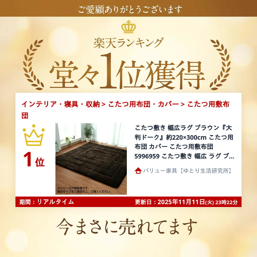 【ランキング1位獲得】こたつ敷き 幅広ラグ ブラウン『大判ドーク』約220×300cm こ...