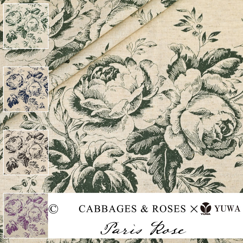 Cabbages  Roses㥷ƥ  Paris Rose 4  10cmñ CR449890 ͥݥ100cm