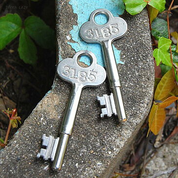「Skeleton Key Silver」 鍵 キー かぎ カギ スケルトンキー スケルトン 玩具 おもちゃ オモチャ チャーム レプリカキー プチプライス【ネコポス・コンパクト対応】