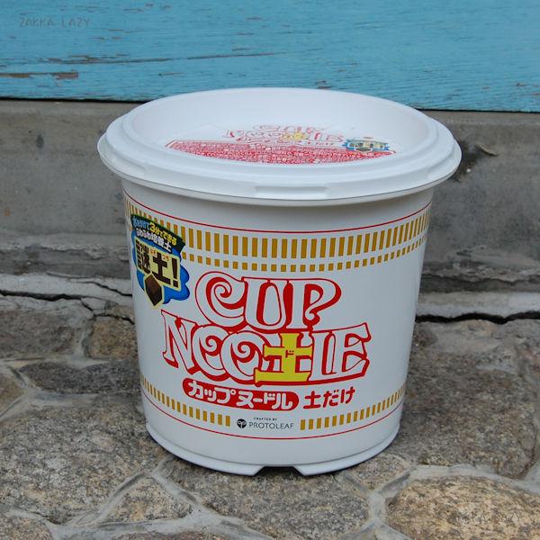 CUP NOOLE åץ̡ɥ ڤ 5Lץȥ꡼ åץ̡ɥ åץ̡ڥ ڱ ٥ڱ Ķ ...