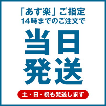 オーシャンパシフィック Ocean Pacific OP 日本正規品 スイムスーツ 2点 セット 上下 セットアップ 水着 ビキニ 柄 総柄 ターコイズ ウィメンズ レディース 夏